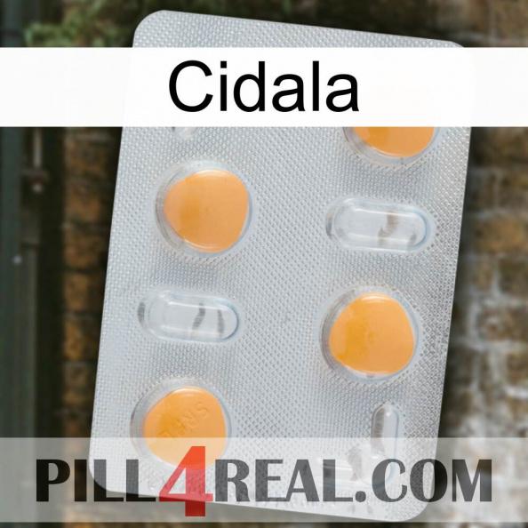 Cidala 24.jpg